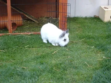 Das Haus ist fertig
